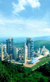 Huaxin Cement burns drugs at Diwei plant