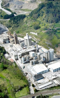 HeidelbergCement subsidiary exceeds 50% AF substitution at plant