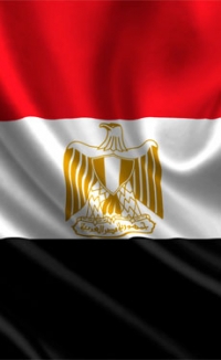 Egyptian co-processing rate to reach 30% by 2025